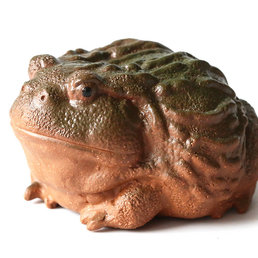 Фэн Шуй "Реальная жаба"