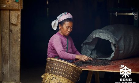 Первооткрыватели чая - люди племени Пу